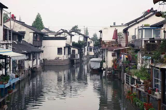 虫虫助手下载